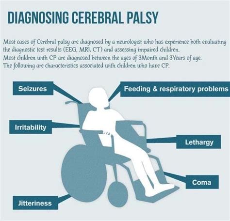 Maintenance of muscle tone. . Differential diagnosis of cerebral palsy